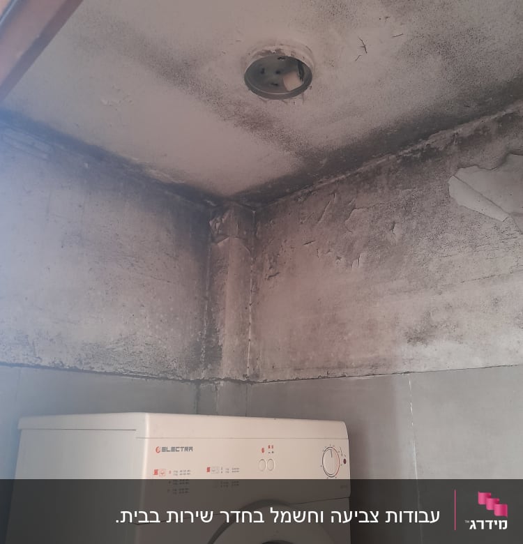 תקרה מתקלפת עם סימני עובש ופטריות